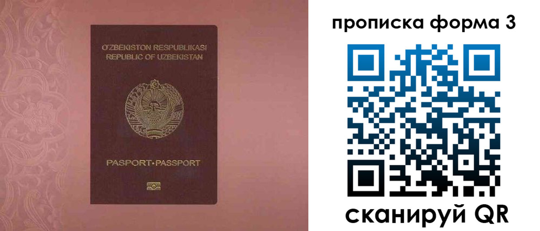 регистрация в Северной Осетии